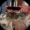 zahmajid134