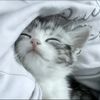 chaterine_4236