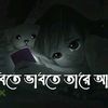 user1786160072662