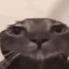 alien3714