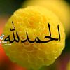 user58476801617380