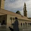 rajinsholat1705