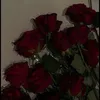 im_elza6