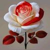 sheraz.....naz