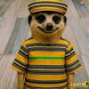 shyboy00001