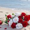 lavierose58