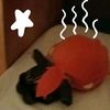 iwish.ihad.adad55