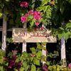ghala.alotaibi2
