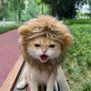 lionass3