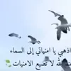 user16137465051313