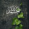 amer.gasim4