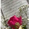 nourhoda379