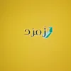 z.io313