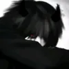 _shadowsed_