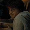 Seba Potter🪄
