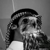 sx__fg