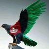 edrees.sahak