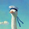 sailorgng