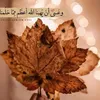 user5426115781029