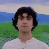fidamgulli