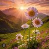 maria.usman11