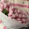 walaa.mohamed467