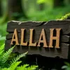 nice.traor4