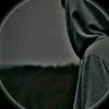 scribnyy7