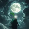 .rtyo1