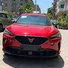 mahmoud.shaban654