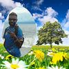 user2135178502070