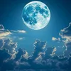 william.salvatore41