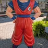 capirote79