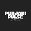 punjabipulseofficial