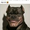 freddygonzalez596