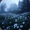 lavenhobrazil