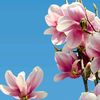beatriz.calvario55