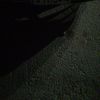 mahmoud.youssef109