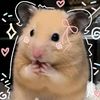 tikus.nklalu