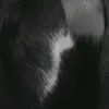 lannafca6