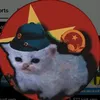 mailanguoicongsan0