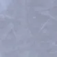 ngaocho54
