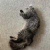 あいとさ