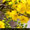 an.nhien6178
