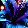 flowers.boyz2