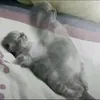 moitaptanhlamtiktok