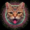 CatTrip