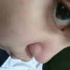 gainholilacc