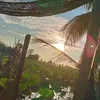 lythanhkha2
