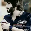 raja.amir369